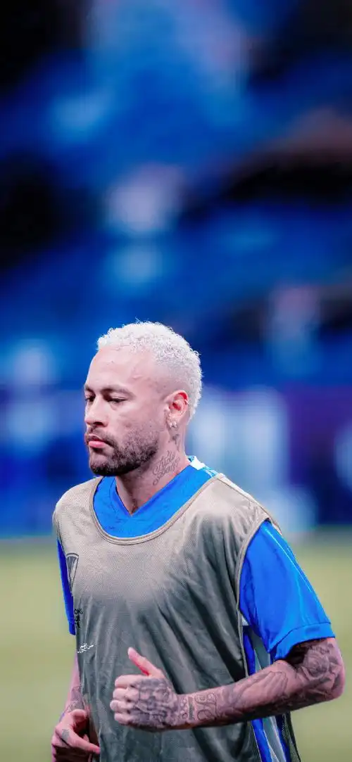 双外援战略 双外援战略