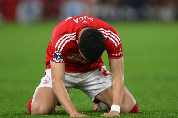 展提供了蓝 展提供了蓝