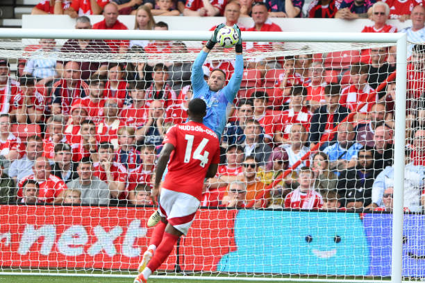 他们不仅需 他们不仅需