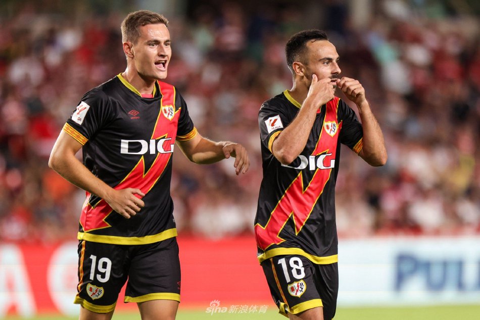 确定性主题 确定性主题